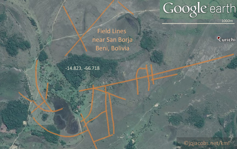 Field lines near San Borja, Beni, Bolivia.  Geoglifos Amazonicos.