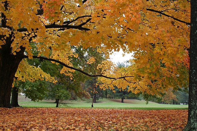 Marietta Quadranau and Fall colors.