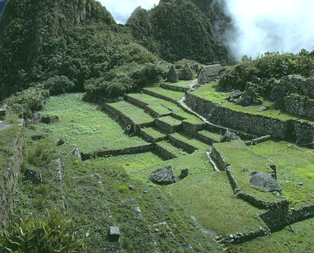View towards Huayna Picchu from Machu Picchu near the Intihuatana. 